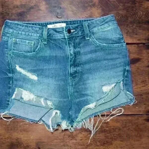 Willow + Root Rise Up Distressed Shorts